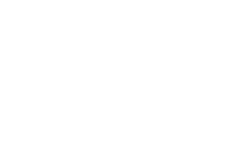 Speed Auto